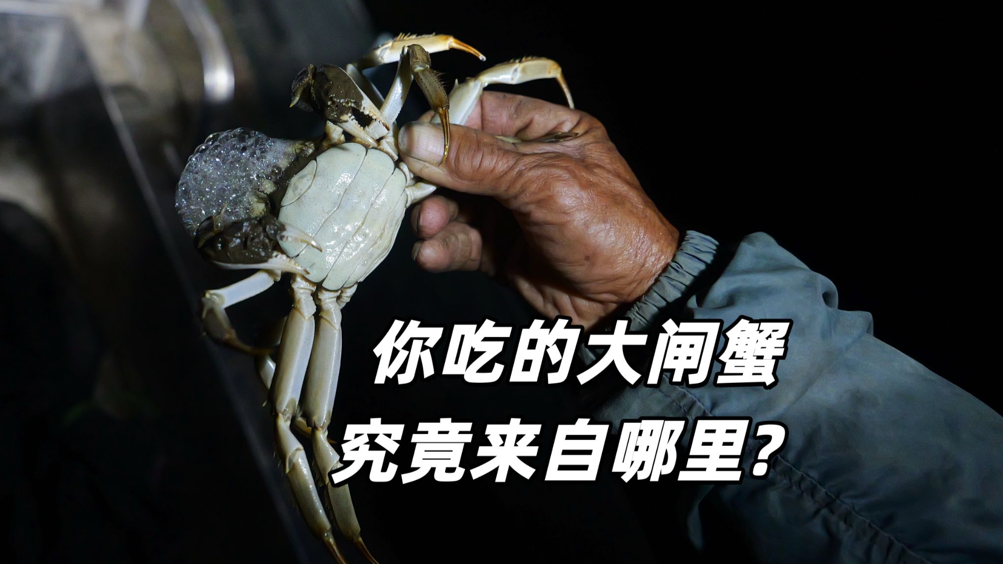 【深度揭秘】我把我们大闸蟹行业老底给掀了!!
