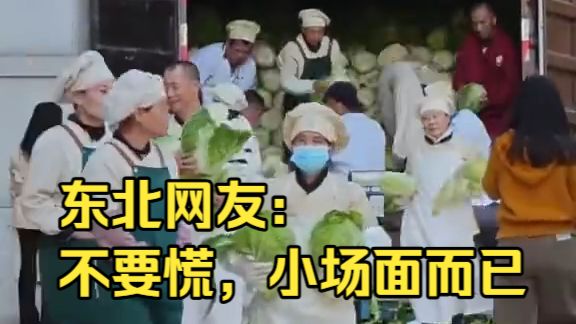南方学生被东北囤秋菜震撼！东北网友：不要慌，小场面而已😀
