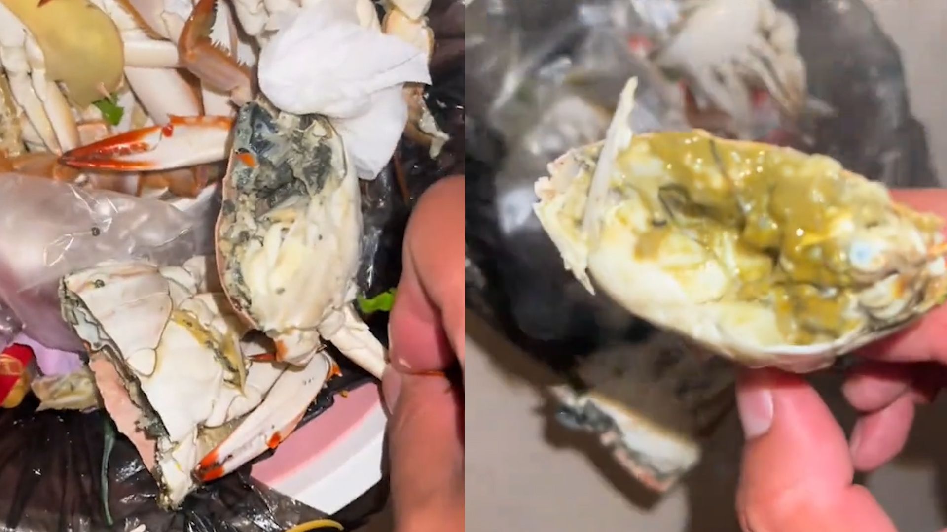 男子把“坏”螃蟹都扔了，看着蟹黄感叹全不能吃，网友却吐槽浪费