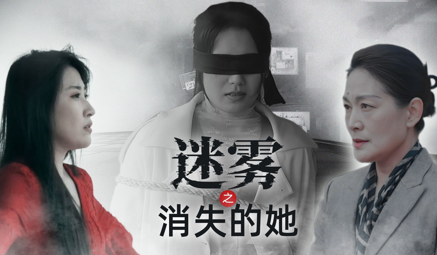 迷雾之消失的她1-12