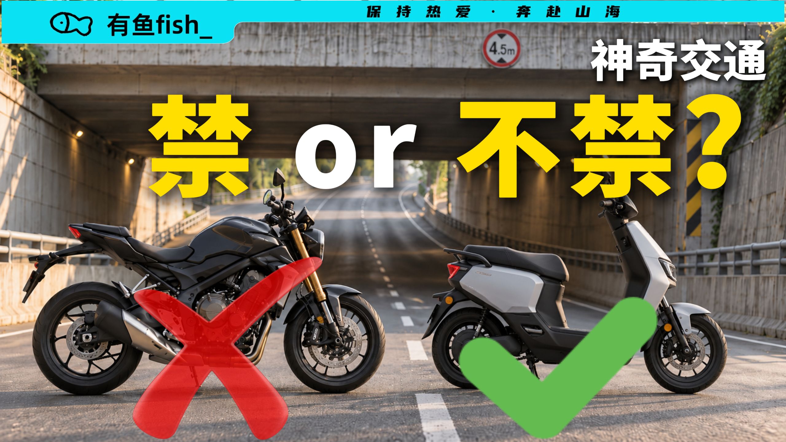 为啥有些城市禁摩托，却允许电动自行车上路？【神奇交通】