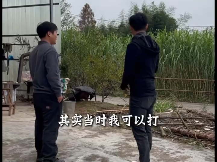 麻阳古法红糖甩头哥因张雪的宣传而爆火，如今在央视镜头红了眼眶
